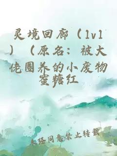 灵境回廊(1v1)(原名:被大佬圈养的小废物)