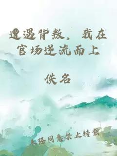 遭遇背叛，我在官场逆流而上